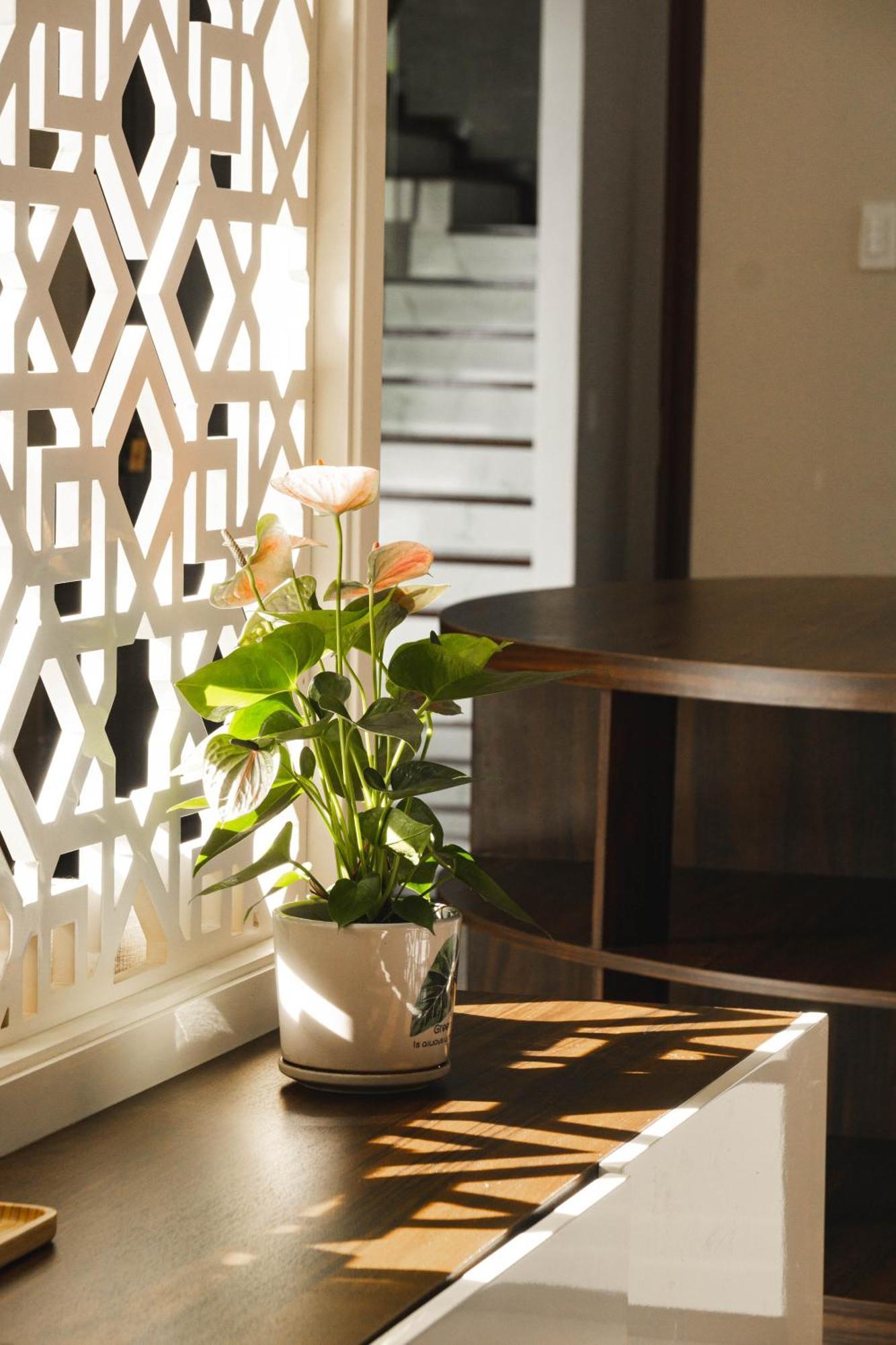 Shalom House _ Bao Loc Hotel Luaran gambar