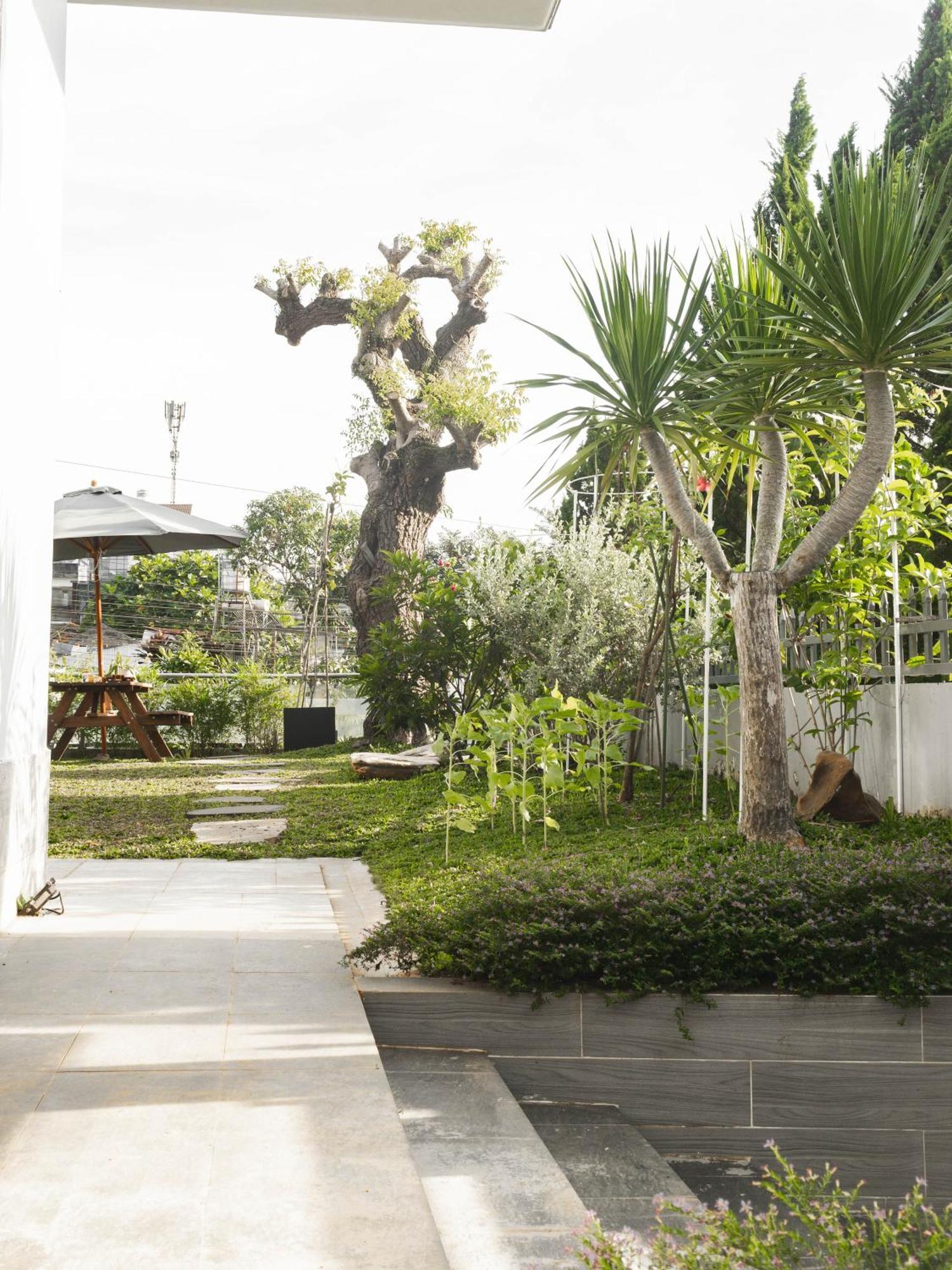 Shalom House _ Bao Loc Hotel Luaran gambar