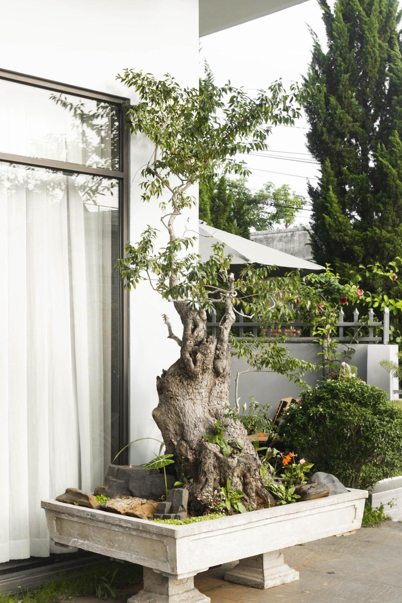 Shalom House _ Bao Loc Hotel Luaran gambar
